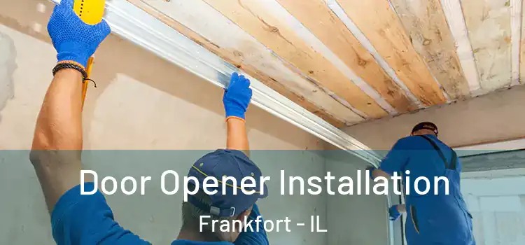Door Opener Installation Frankfort - IL