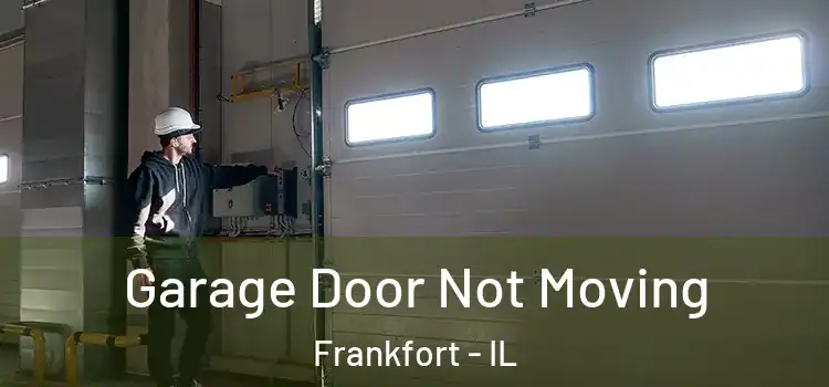  Garage Door Not Moving Frankfort - IL