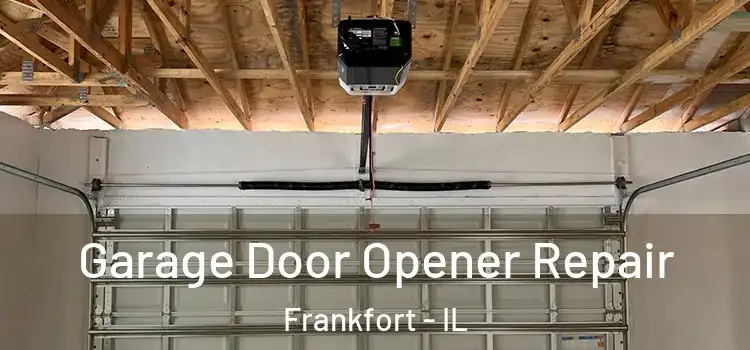  Garage Door Opener Repair Frankfort - IL
