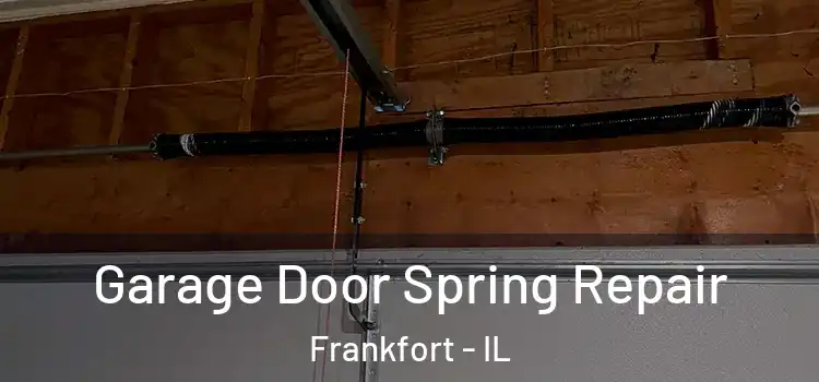  Garage Door Spring Repair Frankfort - IL