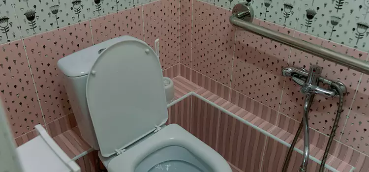Meeting Diverse Needs With Accessible Restroom Solutions in Frankfort, IL