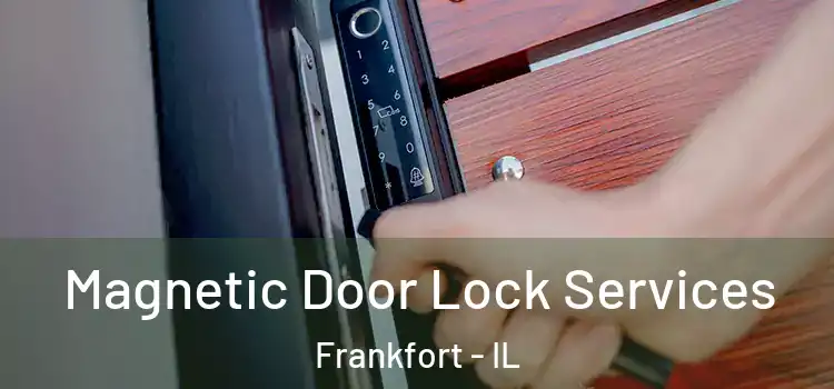 Magnetic Door Lock Services Frankfort - IL